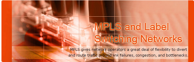 MPLS and Label Switching Network MPLS and Label Switching Network